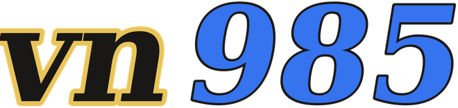 vn985 logo
